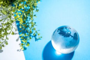 青い画用紙の上に植物と地球儀がおいてある様子