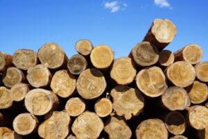 山積みの丸太